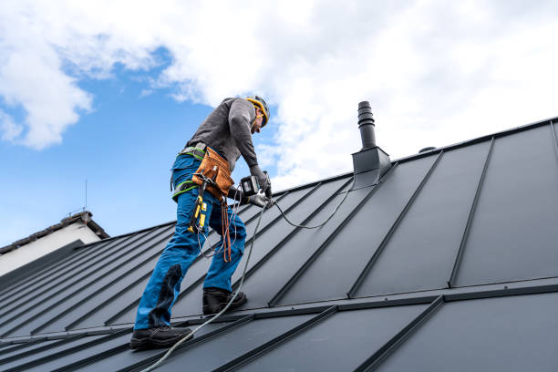Best Solar Panel Roofing Installation  in Mason, MI