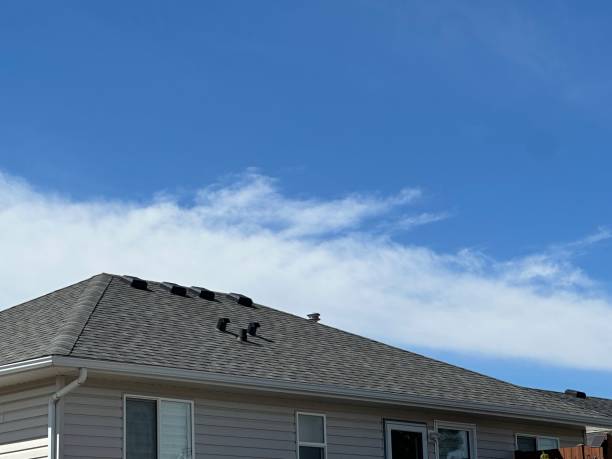 Best Storm Damage Roof Repair  in Mason, MI